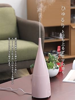 71+2PcMyvRL._UF350,350_QL80_.jpg